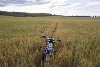 Motorcycle parked in tall grass