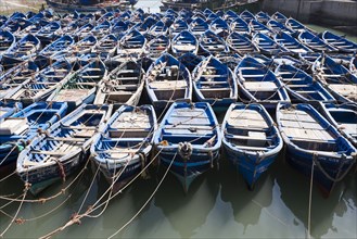 Blue boats secured with rope