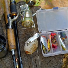 Fishing lures and fishing rod on tree stump