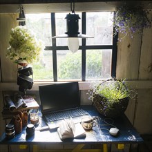 Laptop and plants near rustic window