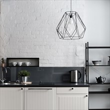 White and black domestic kitchen