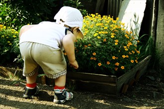 Curious Caucasian boy smelling flowers in garden