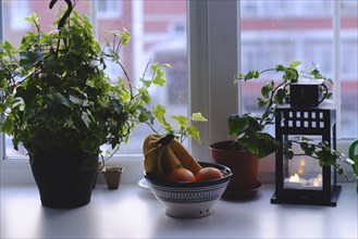 Bowl of fruit and potted plant on windowsill