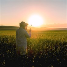 Woman examining wildflowers in field at sunset