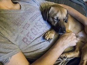 Man and puppy napping