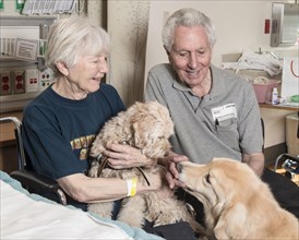 Caucasian couple enjoying therapy dogs