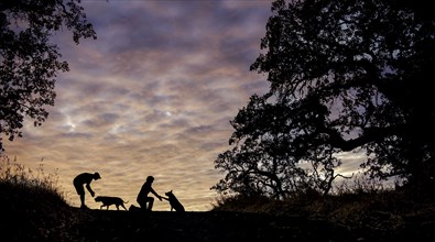 Silhouette of Caucasian couple with dogs in field