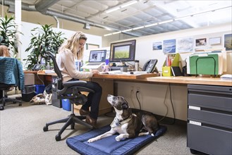 Caucasian woman in office with dog