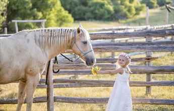 Caucasian girl offering flowers to horse