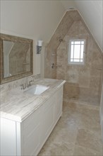 Shower and sink in traditional bathroom