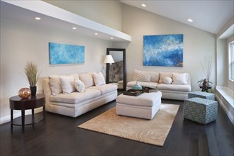 Interior of living room with comfortable sofas