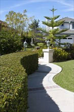 Curved hedge along curving sidewalk in lawn