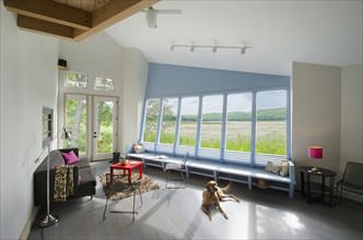 Pet dog relaxing in living room with field view through bay window at Burlington