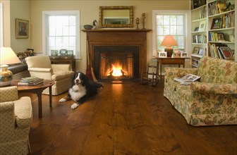 Cozy living room with white pine hardwood floors