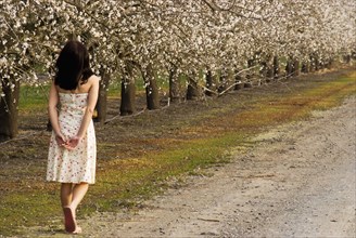 Teenage girl walking along path lined with almond blossoms