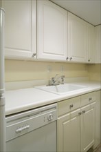 Dishwasher and sink in monochromatic kitchen