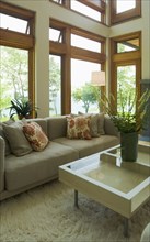 Contemporary living room with shag rug