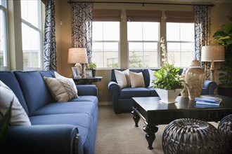 Blue sofas in traditional living room