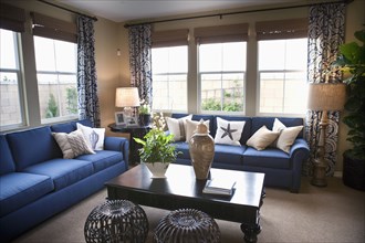 Blue sofas in traditional living room