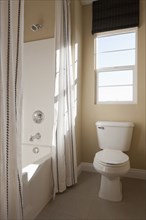 Toilet seat and shower room in bathroom