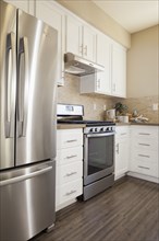Appliances and cabinets in domestic kitchen