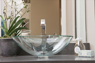 Glass sink and house plant in domestic bathroom