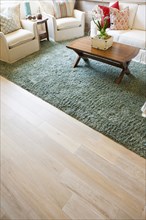 Coffee table and sage rug in living room
