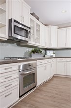 Appliances and gas stove in domestic kitchen