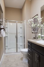 Water closet and shower glass in domestic bathroom