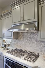 Range top and vent hood in domestic kitchen