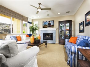 Sofa set and fireplace in living room