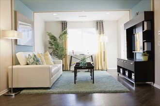 Interior of contemporary living room with flat screen TV