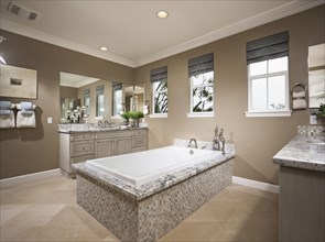 Spacious bathroom with granite bath and cabinets at home