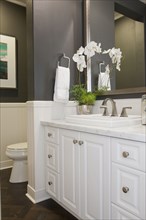 White cabinets and washbasin with commode at a distance in the bathroom at home