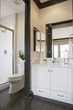White cabinets and washbasin with commode in the bathroom at home