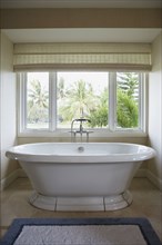 Modern bathtub with detachable shower head in front of window