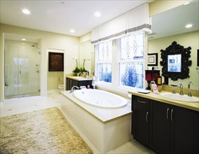 Large bathtub in contemporary bathroom