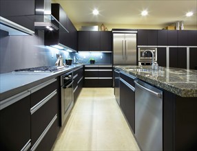 Contemporary kitchen with dark cabinets