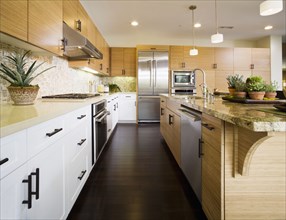 Contemporary kitchen with bamboo cabinets