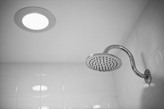 Detail chrome showerhead