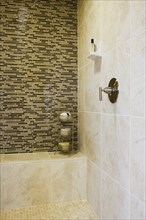 Contemporary tile shower with bench