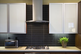 Range and hood in contemporary kitchen