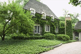Exterior view of residential structure with ivy on walls