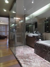 Modern bathroom with glass walls