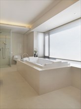 Elegant bathroom with hot tub