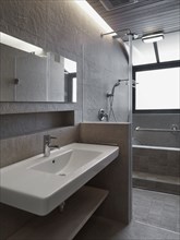 Modern bathroom with large sink