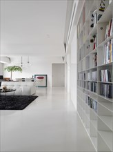 Modern bookshelves in large open living room