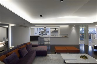Spacious modern interior with purple and orange sofa