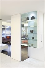 Glass display case in modern home