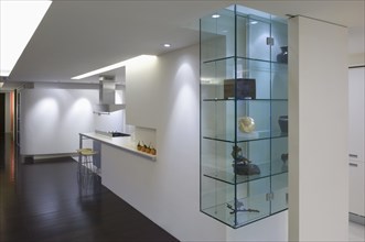 Glass display case in modern home